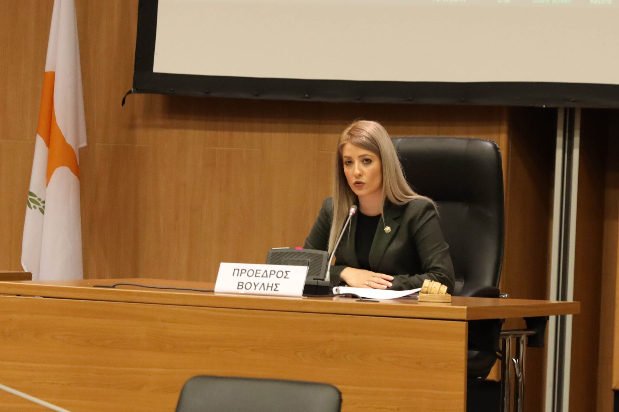 Α. Δημητρίου: Τεχνικό πρόβλημα διέκοψε τη σύνδεση με τον Ζελένσκι (ΒΙΝΤΕΟ)