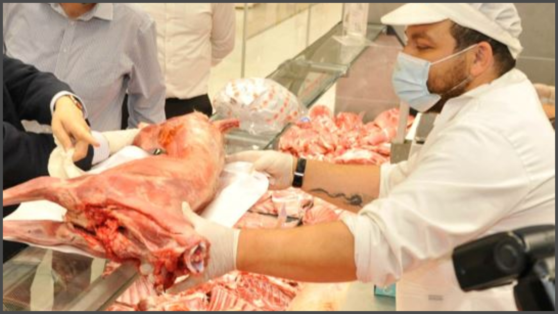 Kόμμα για τα Ζώα: "Το Πάσχα δεν είναι γιορτή για να στείλουμε στην πυρά τα ζώα"