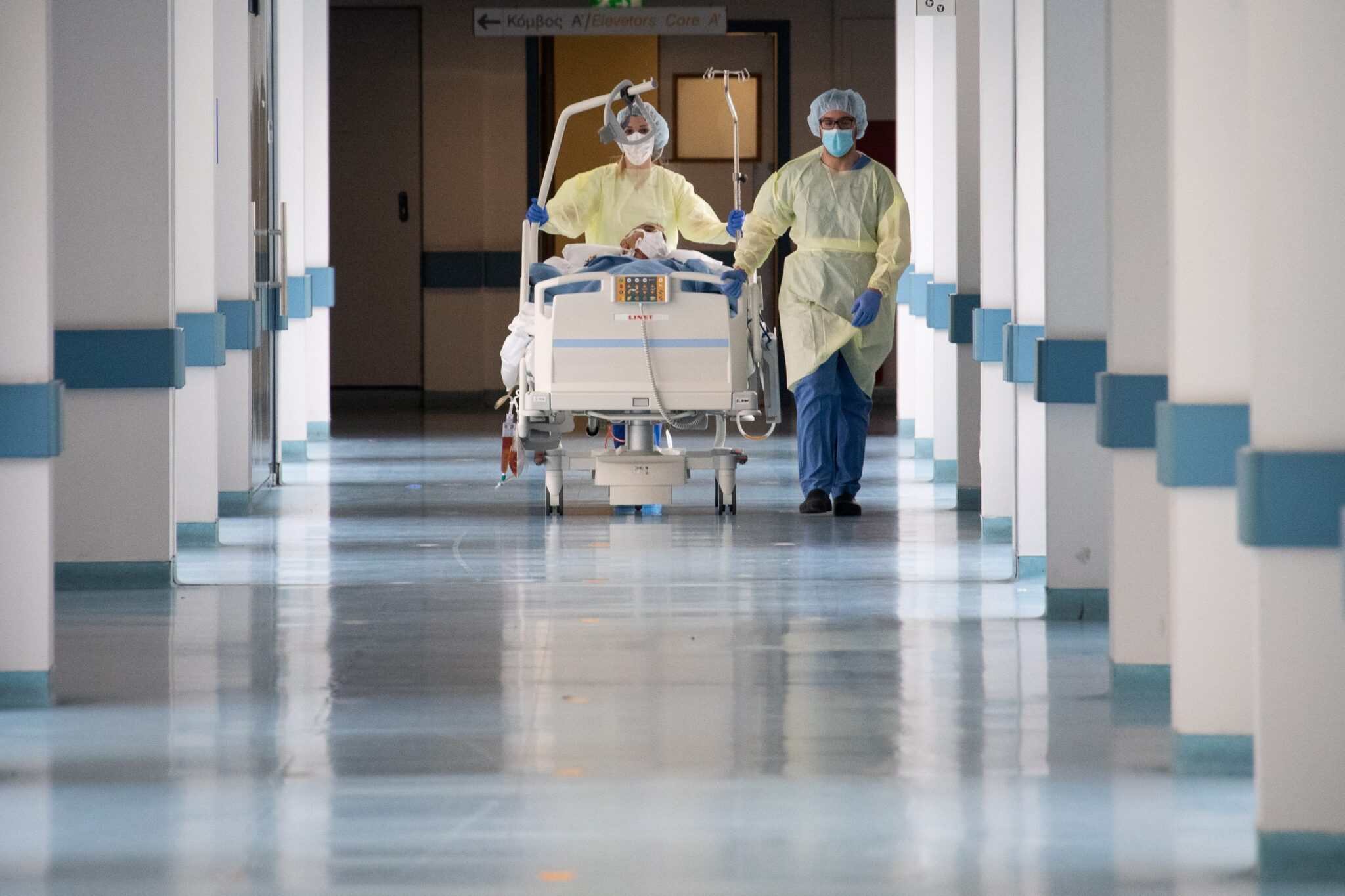 Όλα όσα πρέπει να ξέρεις για την ευλογιά των πιθήκων, συμπτώματα και θεραπεία