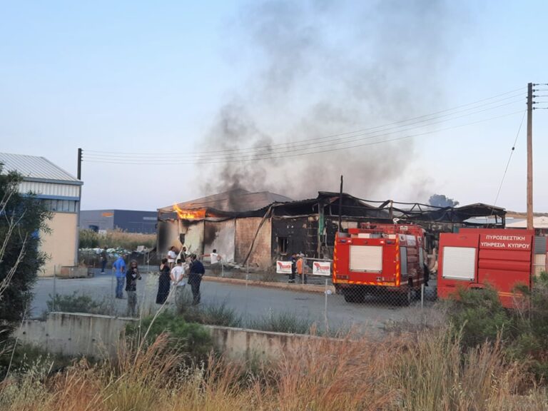 Μια έκρηξη με απρόβλεπτες συνέπειες απέτρεψαν οι πυροσβέστες στη Νήσου (ΒΙΝΤΕΟ)