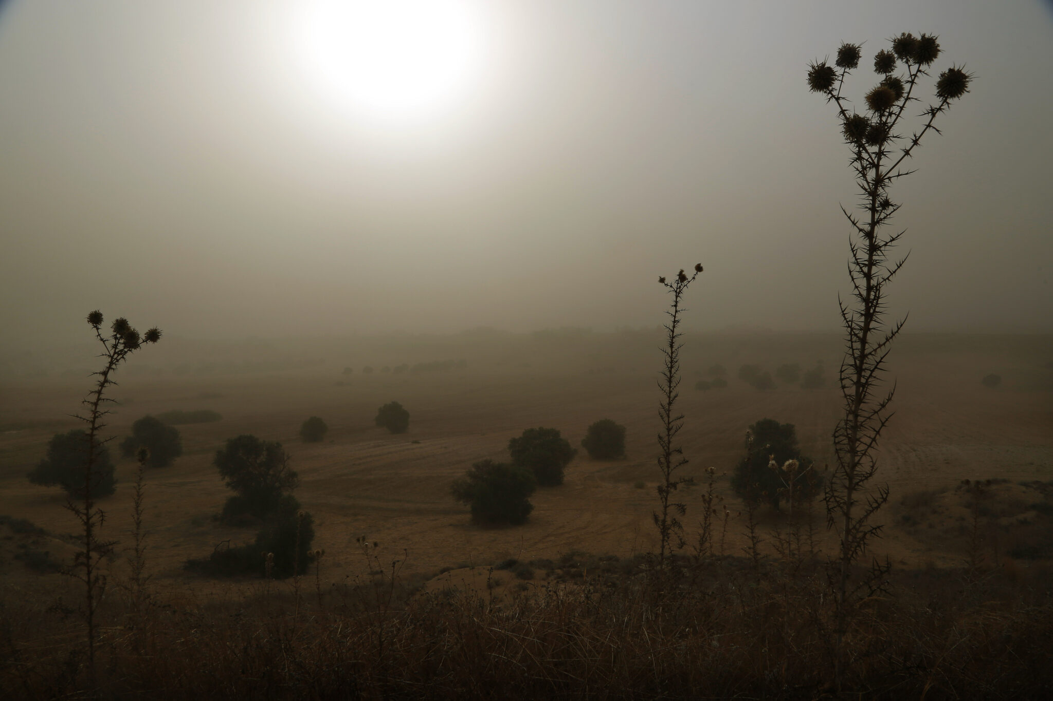Απρίλιος ο μήνας με τα μεγαλύτερα και συνεχόμενα επεισόδια σκόνης (ΒΙΝΤΕΟ)