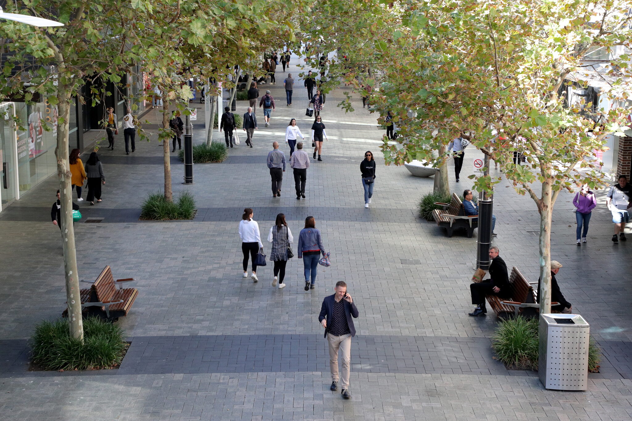 Έφτασε και στην Αυστραλία η ευλογιά των πιθήκων, καταγράφηκε το πρώτο κρούσμα