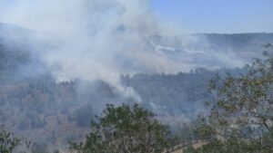 Έτοιμη η Δημοκρατία να βοηθήσει στην κατάσβεση της πυρκαγιάς στα κατεχόμενα