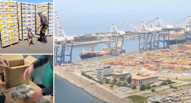 Ιταλικό μπλόκο σε 654kg κοκαΐνης που προορίζονταν για Θεσσαλονίκη (ΒΙΝΤΕΟ)
