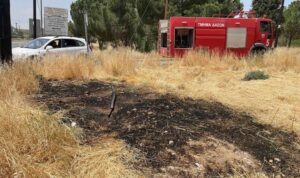 Alert στο Τμήμα Δασών για τη φωτιά στο Πάρκο Αθαλάσσας (ΦΩΤΟ)