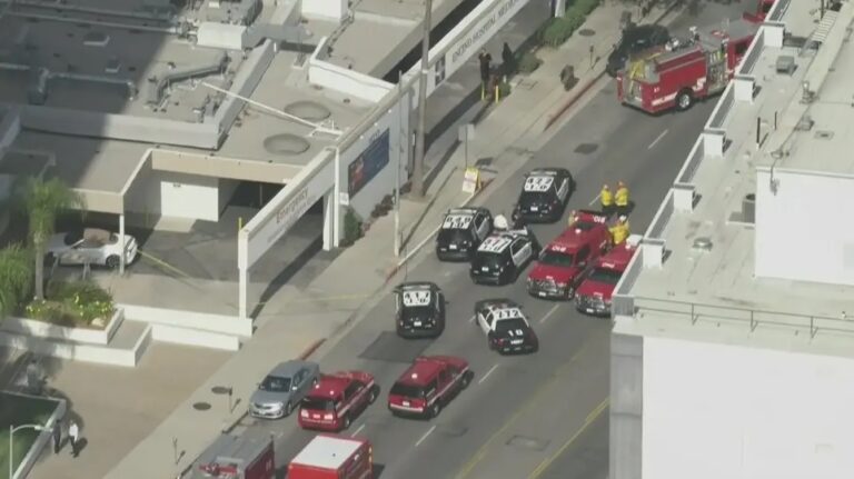 Επίθεση με μαχαίρι σε νοσοκομείο του Λος Άντζελες, τουλάχιστον 3 τραυματίες(VID)