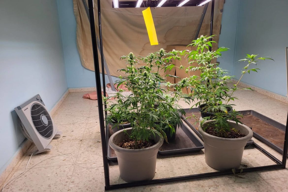 Μετέτρεψε το σπίτι του σε.. φυτώριο κάνναβης