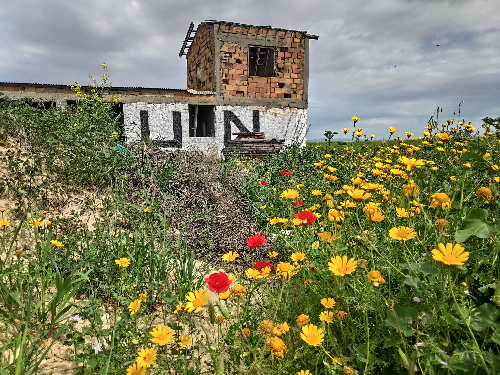 ΟΥΝΦΙΚΥΠ για άλλους έξι μήνες, η Ρωσία δεν καλοσώρισε την έκθεση του ΣΑ