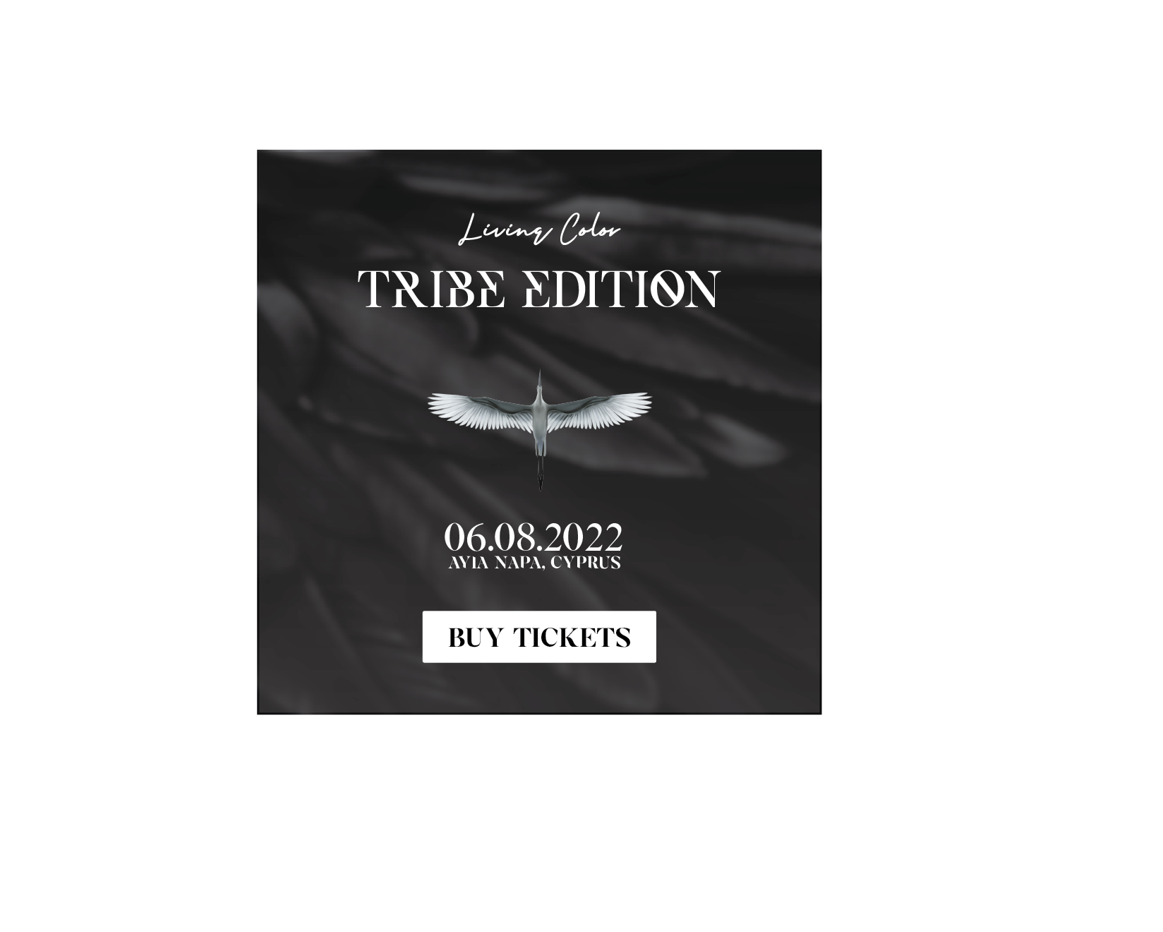 Living Color Festival ‘Tribe Edition’