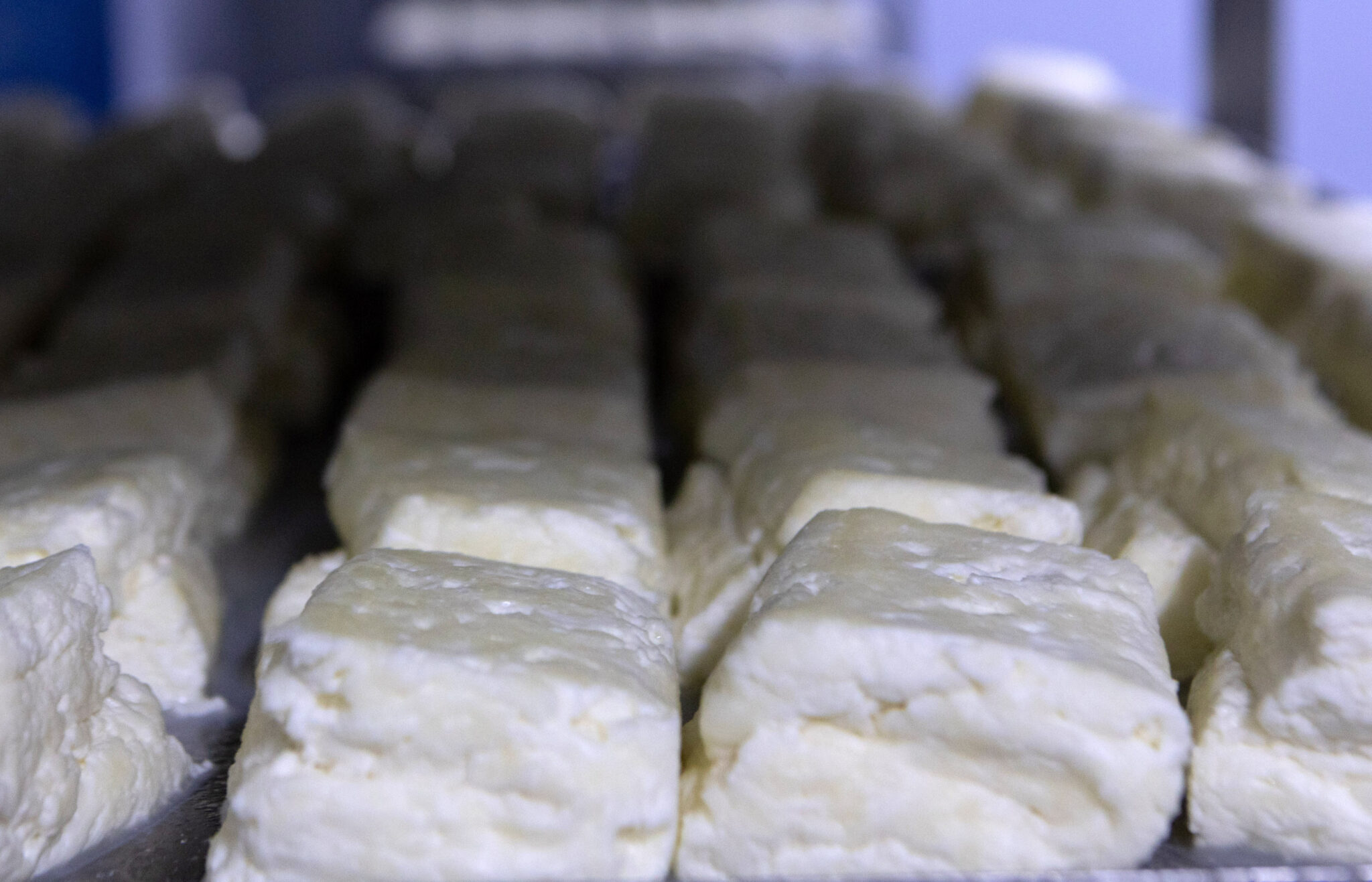 Παραμένει στο τραπέζι το αίτημα για αναστολή του χαλουμιού ΠΟΠ μέχρι το 2029