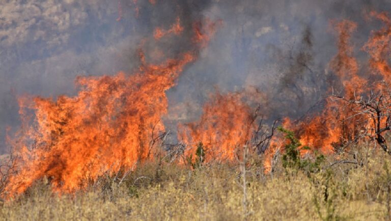 Υπό έλεγχο πυρκαγιά, που ξέσπασε στην περιοχή Αγίου Συλά στη Λεμεσό