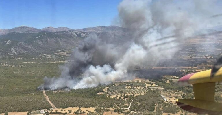 ΒΙΝΤΕΟ: Πυρκαγιά στα Μέγαρα απειλεί τα γύρω χωριά