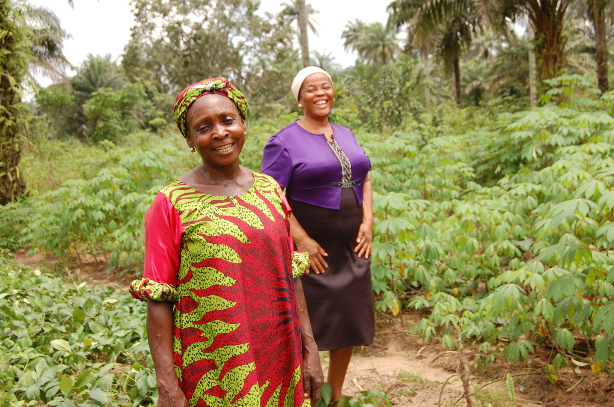 Εκεί όπου η γη είναι γένους αρσενικού