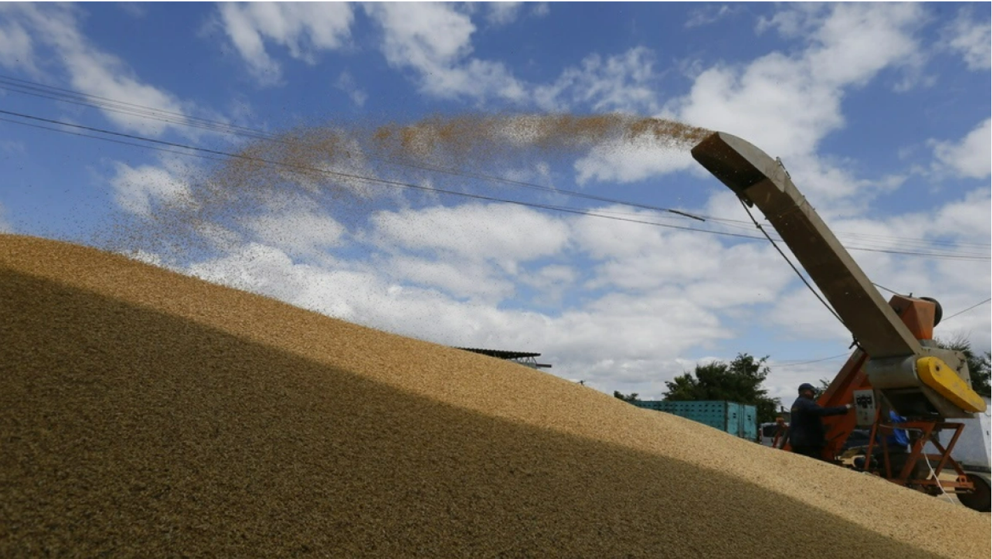 Τρία πλοία φορτωμένα με σιτηρά θα αποπλεύσουν την Παρασκευή από ουκρανικά λιμάνι