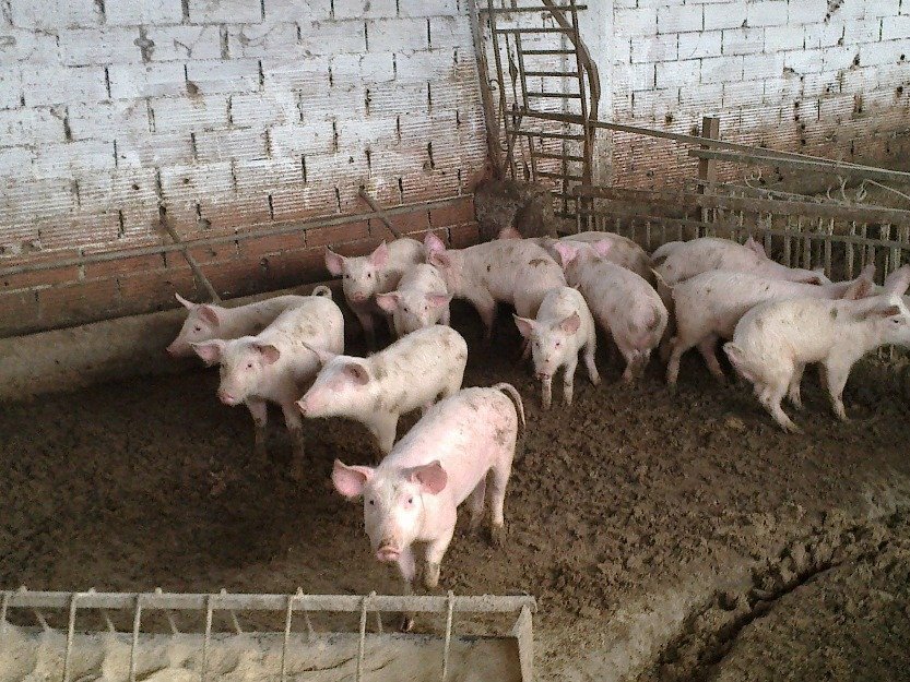 &Omicron; &iota;ό&sigmaf; &epsilon;&xi;&alpha;&pi;&lambda;ώ&nu;&epsilon;&tau;&alpha;&iota; &laquo;&epsilon;ύ&kappa;&omicron;&lambda;&alpha; &kappa;&alpha;&iota; &alpha;&sigma;&tau;&rho;&alpha;&pi;&iota;&alpha;ί&alpha;&raquo;