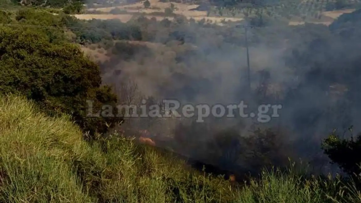 ΦΩΤΟ: Συναγερμός στην Ελλάδα λόγω πυρκαγιάς στο Λογγίτσι Φθιώτιδας