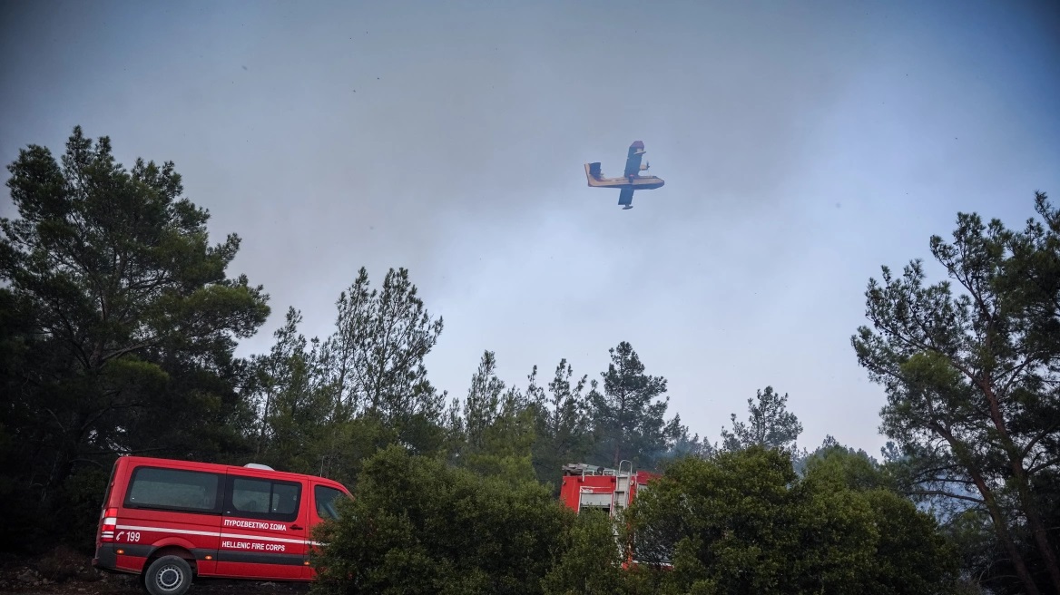 Συναγερμός στην Ελλάδα: Φωτιά στην Πύλο, μήνυμα για εκκένωση από το 112