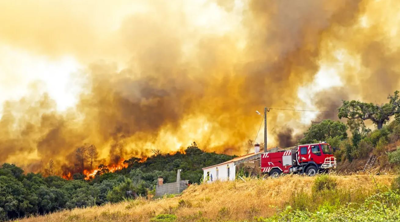 Σε πύρινο κλοιό η Πορτογαλία, στη μάχη τουλάχιστον 1.800 πυροσβέστες