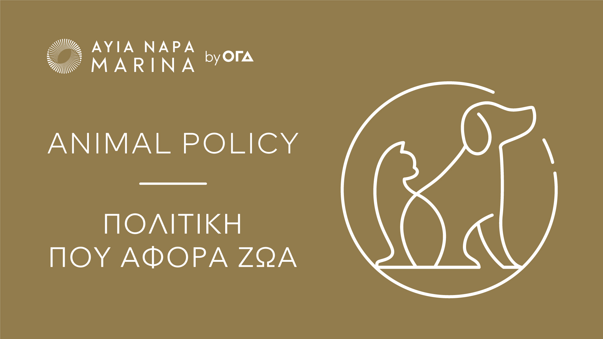 Η Μαρίνα Αγίας Νάπας άνοιξε τις πόρτες της για τους τετράποδους επισκέπτες