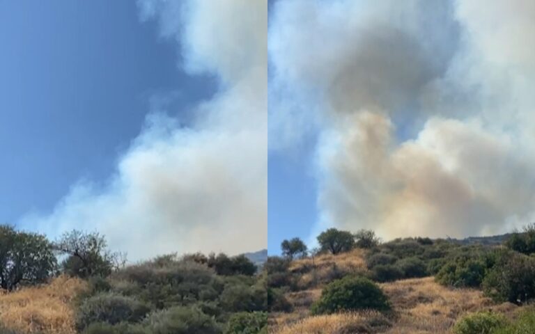 Ενισχύονται οι δυνάμεις πυρόσβεσης στην Άλασσα, έκλεισαν δρόμοι λόγω των καπνών