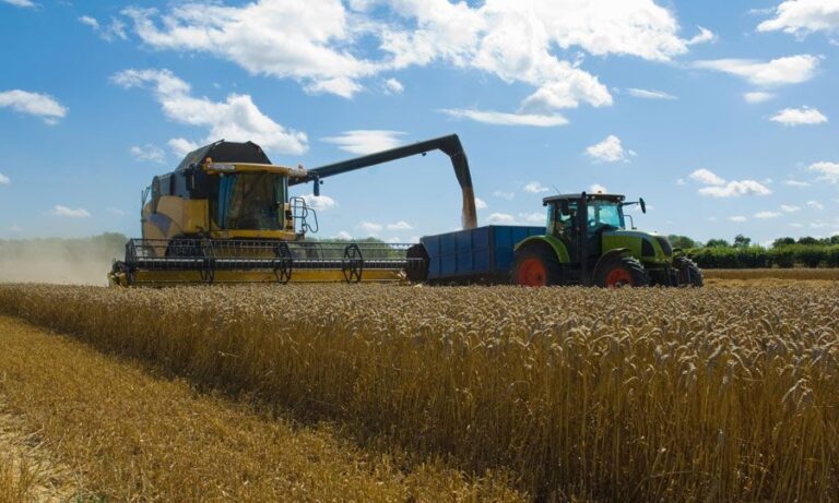 Οι εταιρείες βάζουν την Κύπρο στο «σκαμνί» για τα αποθέματα σιτηρών