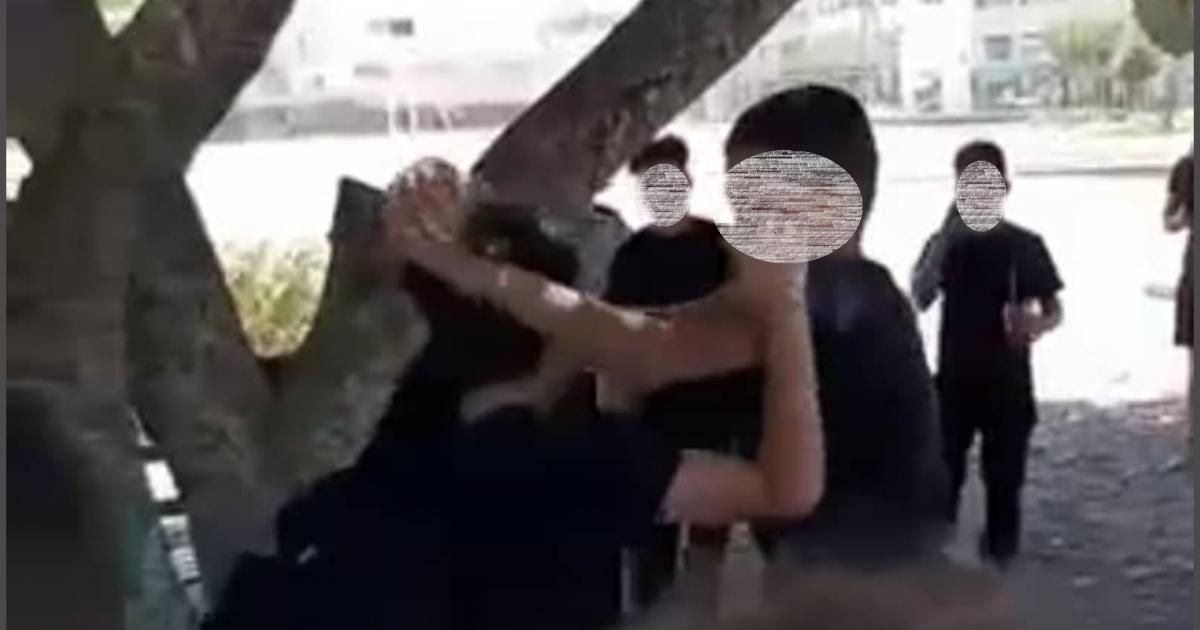 Κλείνουν ραντεβού για να παίξουν ξύλο και να ανεβάσουν βίντεο στα social media