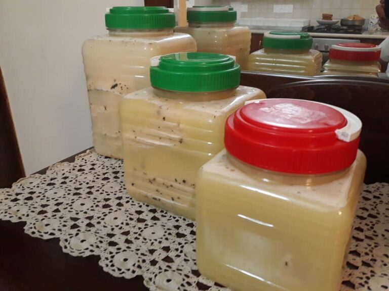 Ένα κιλό κοκαΐνης σε…φίζα χαλλουμιών θαμμένο στην αυλή