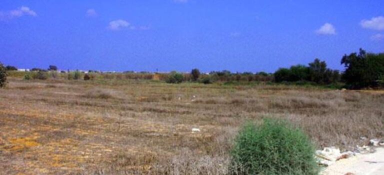 Συνελήφθησαν κτηματομεσίτης και ιδιωτικός υπάλληλος που απέσπασαν €275.000