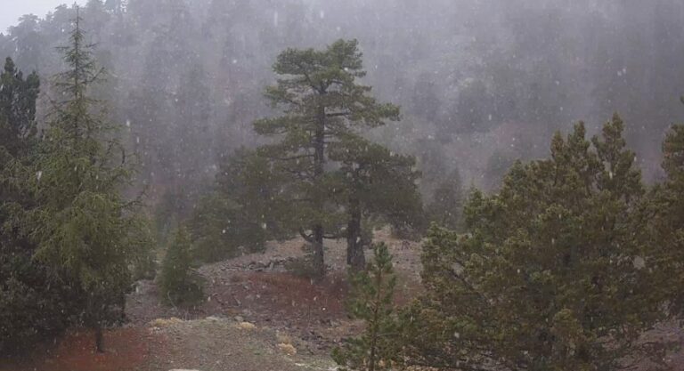 ΒΙΝΤΕΟ: Τα πρώτα χιόνα έκαναν την εμφάνισή τους στο Τρόοδος