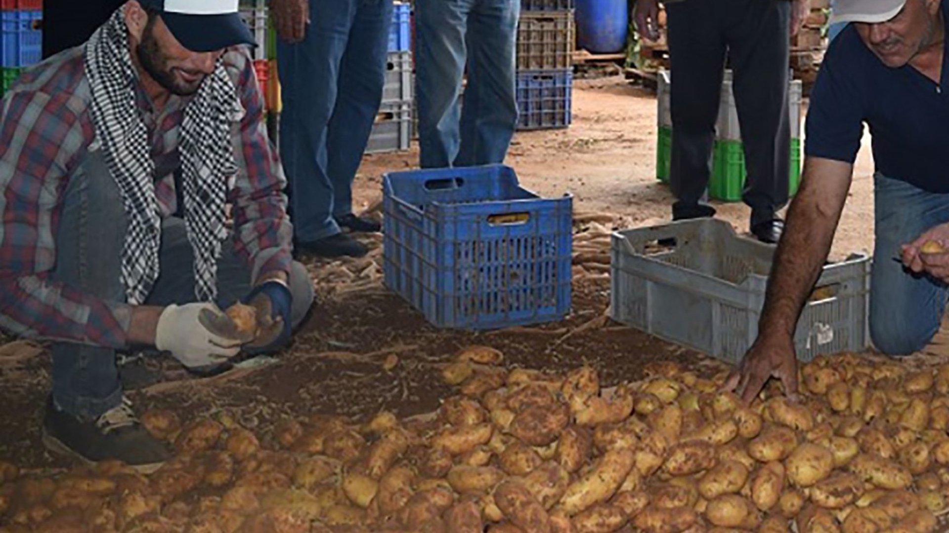 ΒΙΝΤΕΟ: Τι λένε οι αγρότες για τα €3,4 εκ. του Υπουργικού στην πατατοκαλλιέργεια