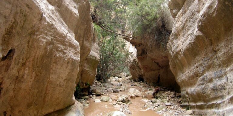 Επιχείρηση διάσωσης δύο ατόμων που εγκλωβίστηκαν στο φαράγγι του Άβακα