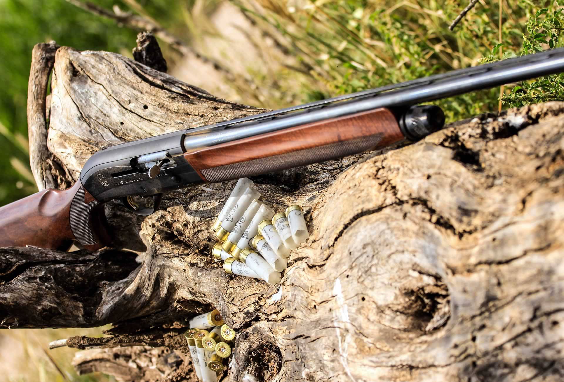 Χειροπέδες σε 20χρονο: Ομολόγησε ότι έκλεψε κυνηγετικό όπλο από οικία