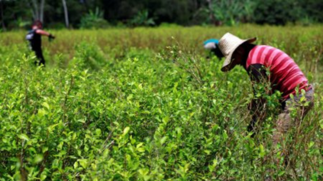 Κολομβία: Ρεκόρ για τις κατασχέσεις κοκαΐνης το 2022