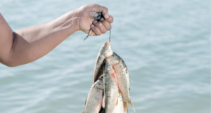 Διατροφή και Οπτικό Αφήγημα: Φωτογραφικό Εργαστήριο για νέους