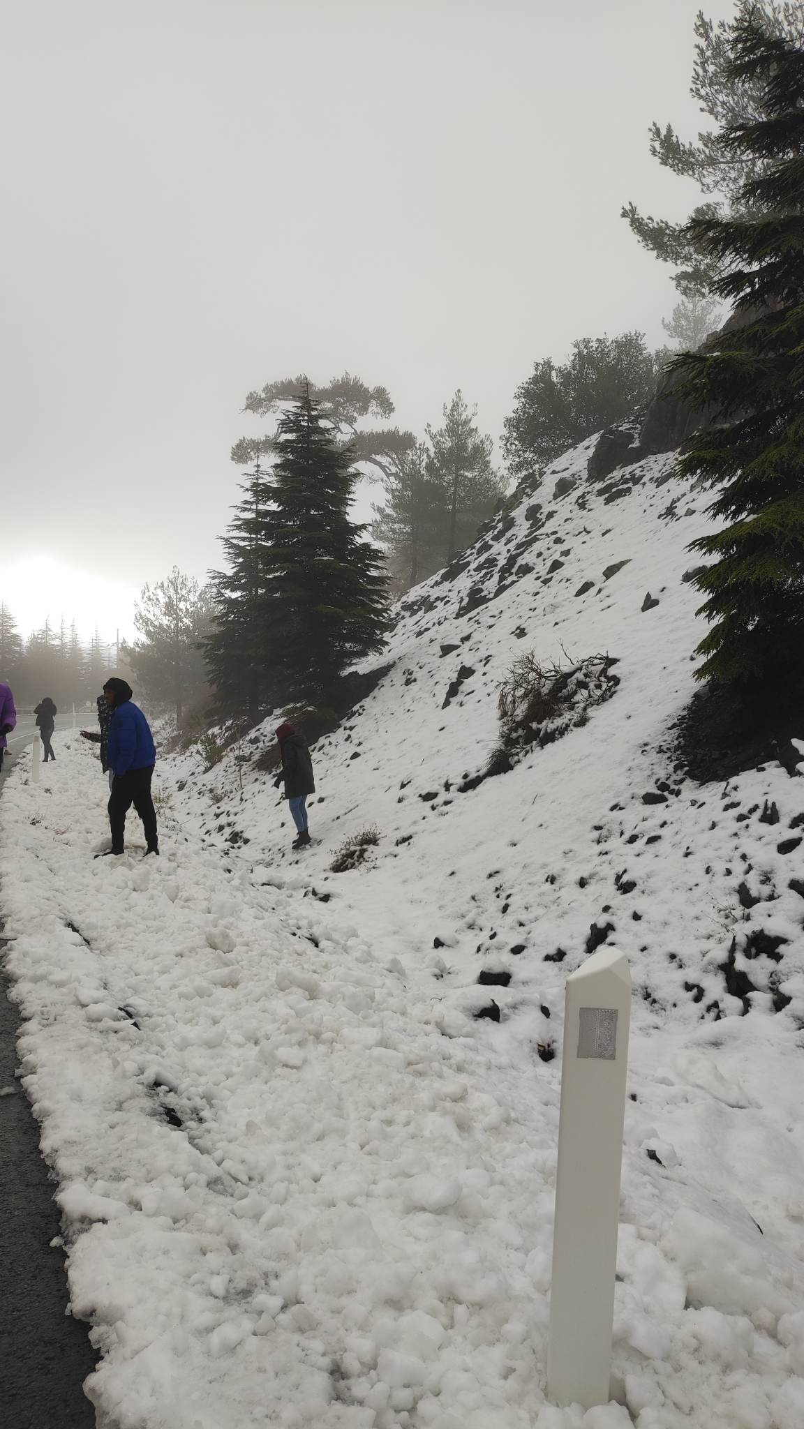 Βγαίνουμε από το «ψυγείο»: Σταδιακή άνοδος της θερμοκρασίας το επόμενο τριήμερο