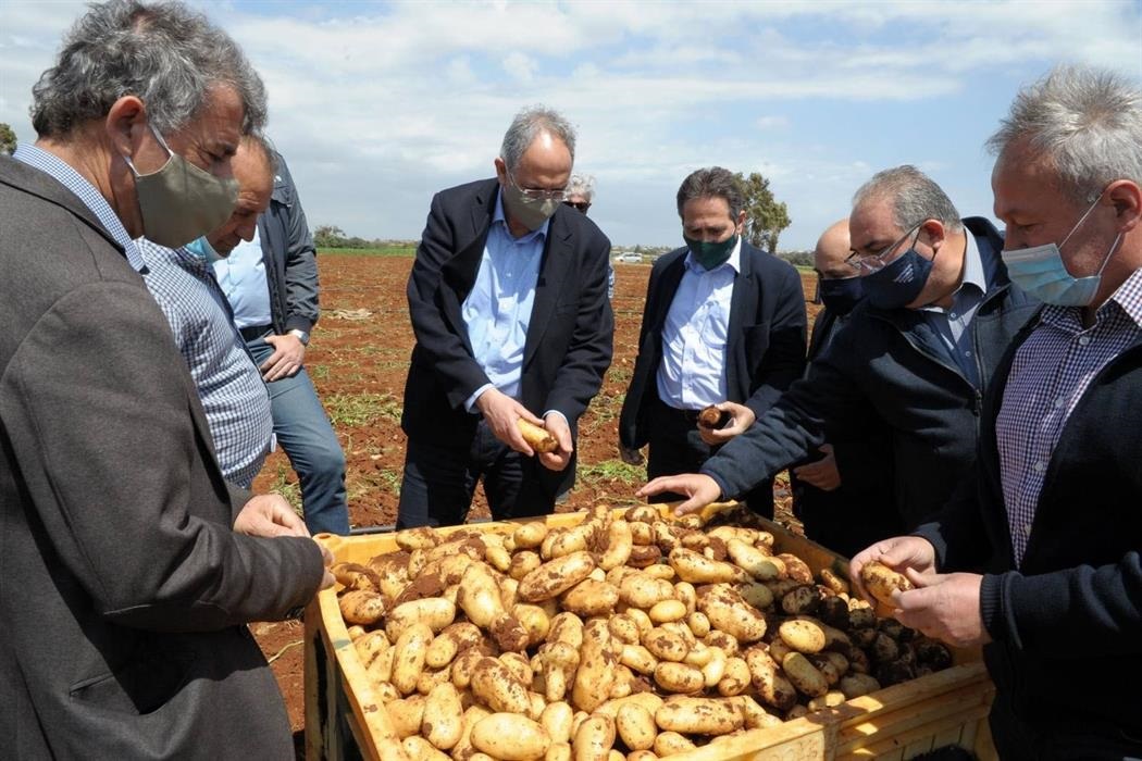 Πρόσω ολοταχώς για κατοχύρωση της πατάτας κοκκινογής ως προϊόν ΠΓΕ