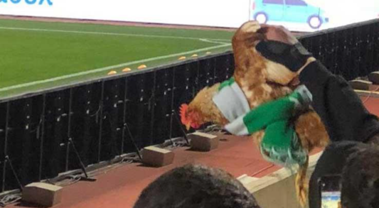 Έντυσαν κοτόπουλο στα χρώματα ποδοσφαιρικής ομάδας και το πήγαν στο γήπεδο