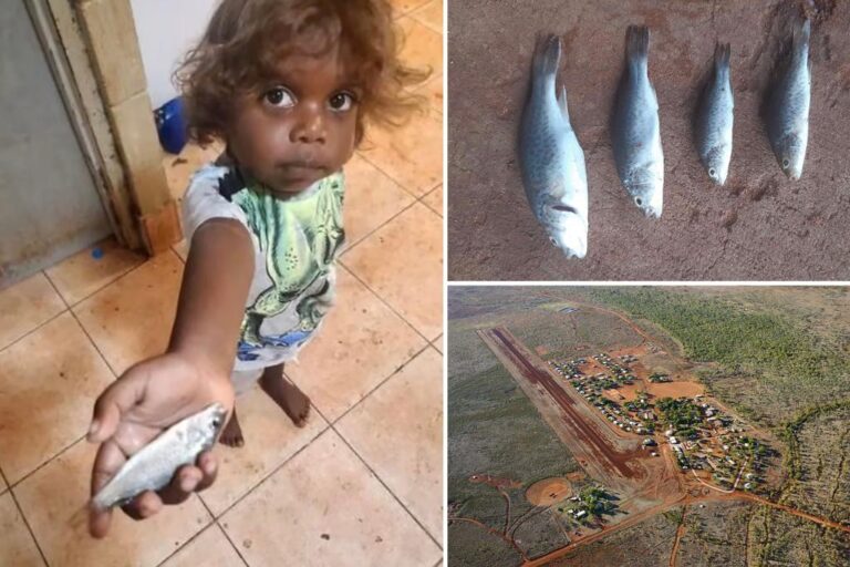 "Έβρεξε" ψάρια σε απομονωμένη πόλη της Αυστραλίας