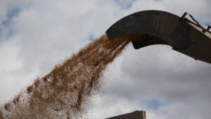 Περαιτέρω μείωση της σοδειάς σιτηρών αναμένει η Ουκρανία το 2023