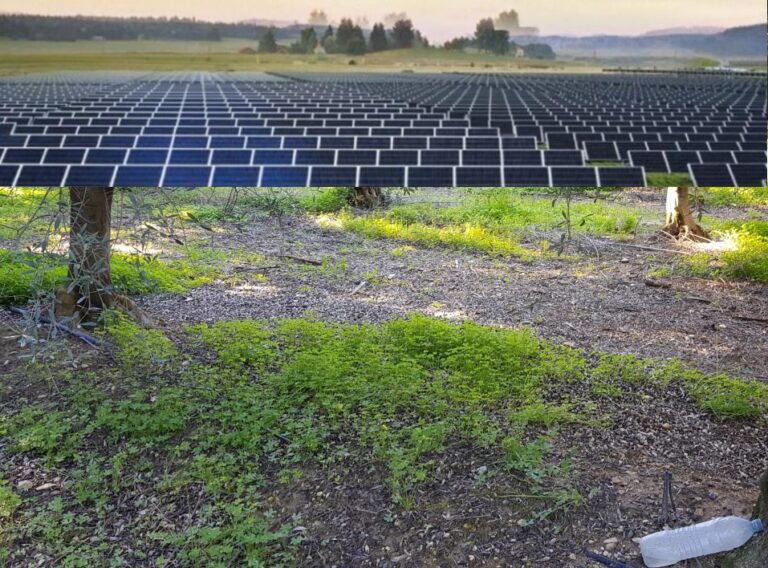 Μελέτη Εκτίμησης Επιπτώσεων στο Περιβάλλον