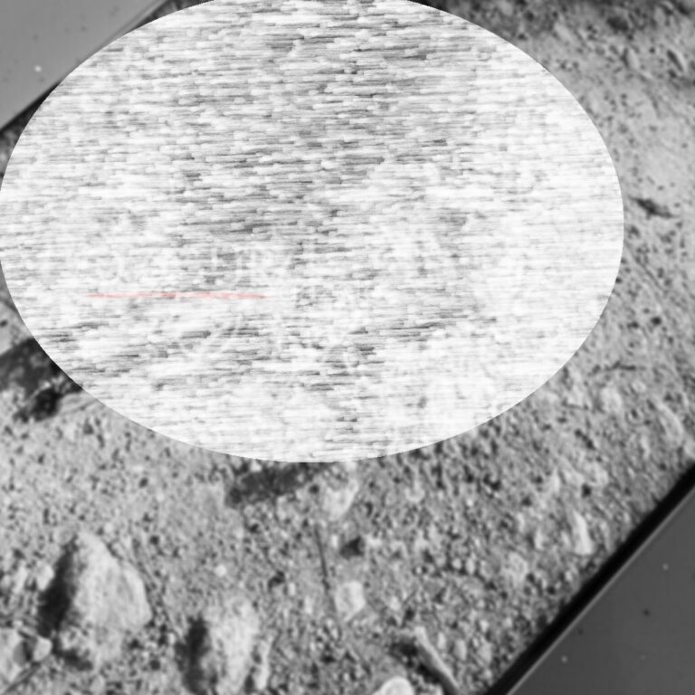 Σοκ στο ψευδοκράτος: Ανθρώπινο μέλος εντοπίστηκε στο Πέλλαπαϊς (ΦΩΤΟ)