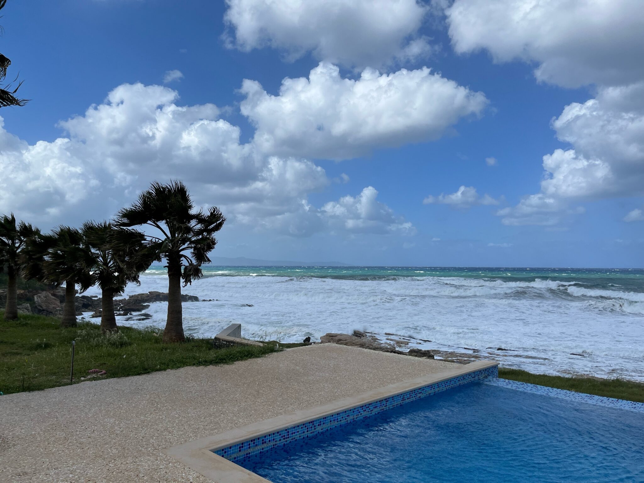 Οι άνεμοι σαρώνουν την Κύπρο: Έπεσαν δέντρα σε δρόμους, κόπηκαν καλώδια της ΑΗΚ