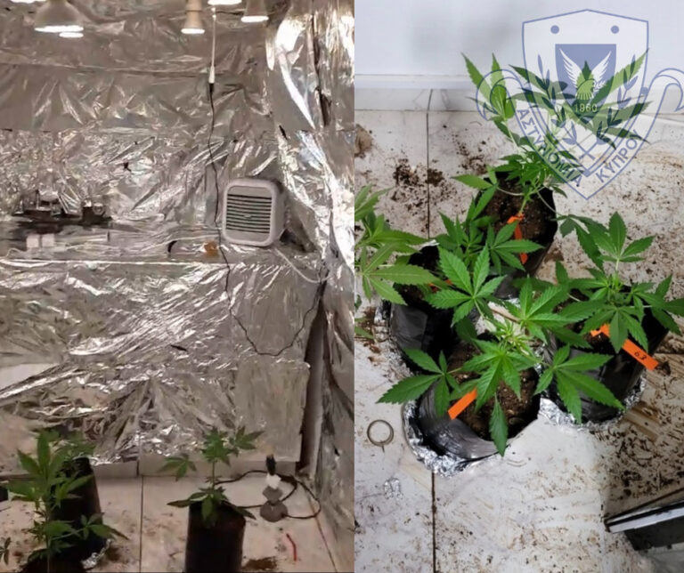 «Ντου» Αστυνομίας σε διαμέρισμα, εντοπίστηκε φυτώριο κάνναβης (ΦΩΤΟ)