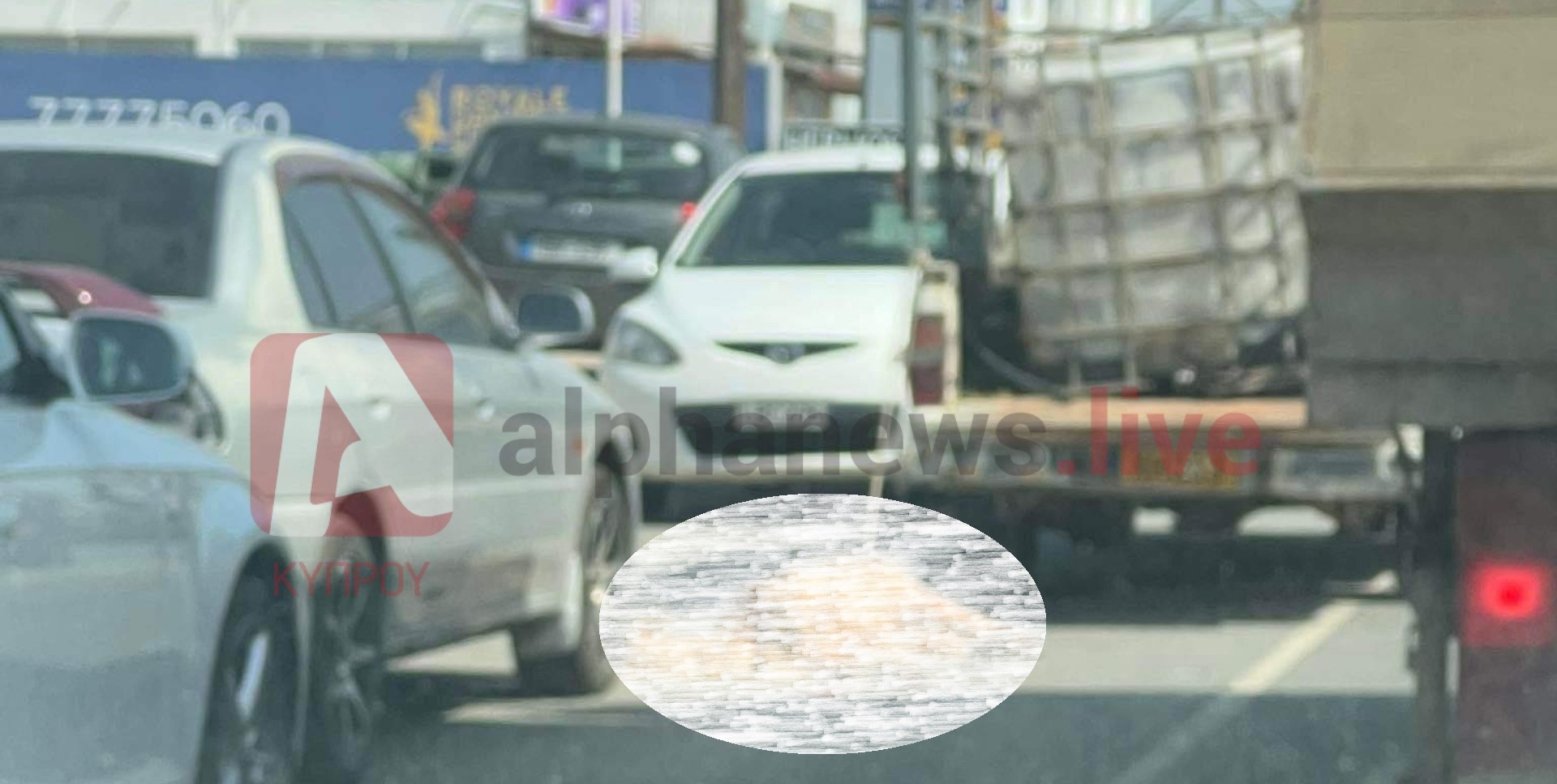 Φρίκη στην Κοκκινοτριμιθιά: Έδεσε σκύλο σε διπλοκάμπινο, τον τραβούσε στο δρόμο