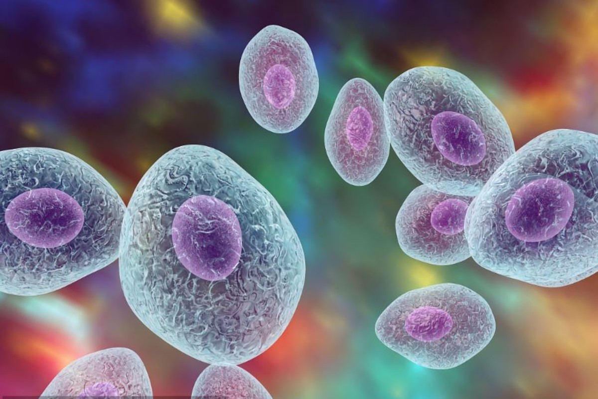 Έξι κρούσματα τύφου στην Κύπρο το τελευταίο εξάμηνο