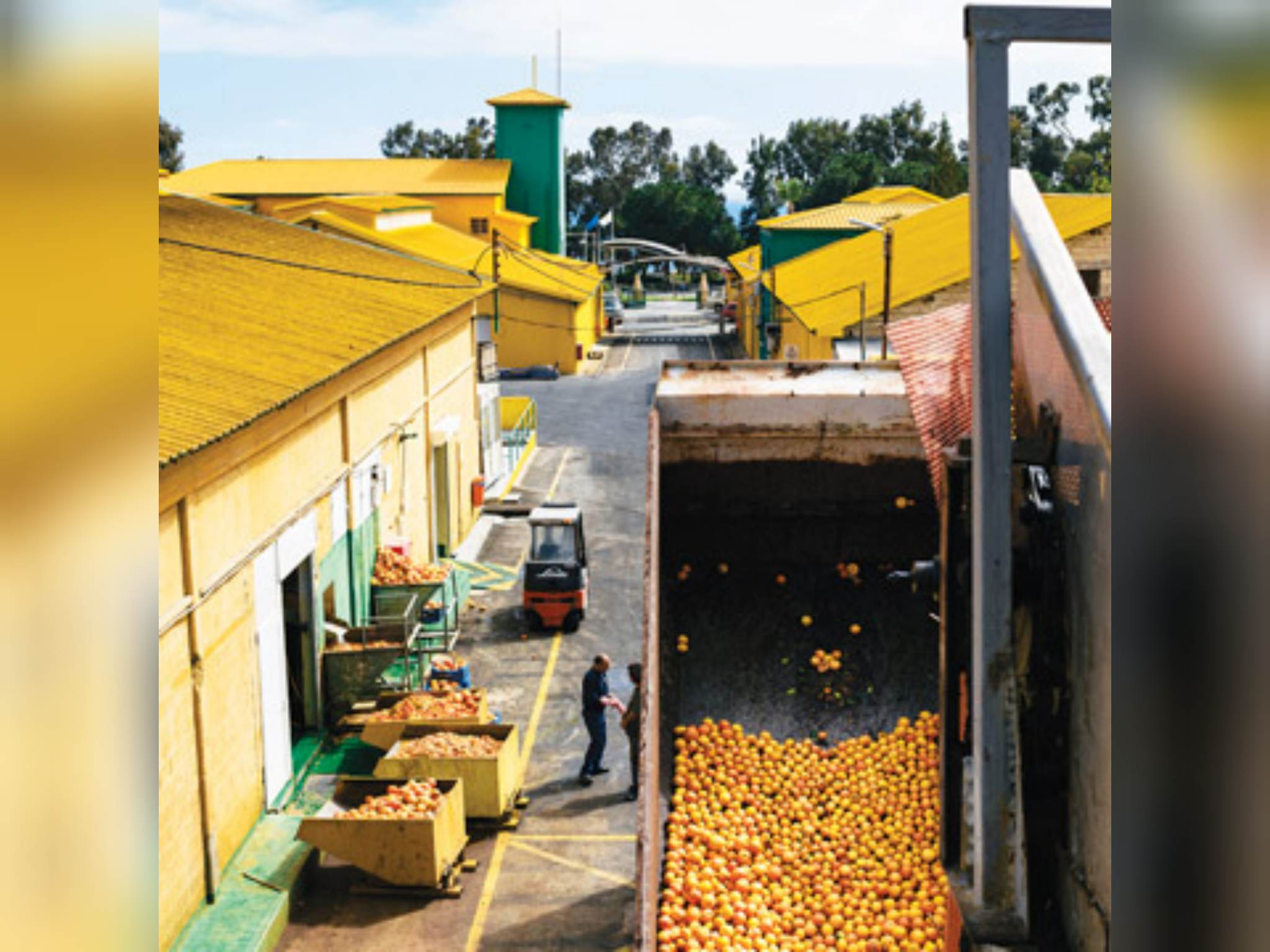 Άλλαξε χέρια η κυπριακή εταιρεία ΚΕΑΝ: Νέος ιδιοκτήτης η bbf