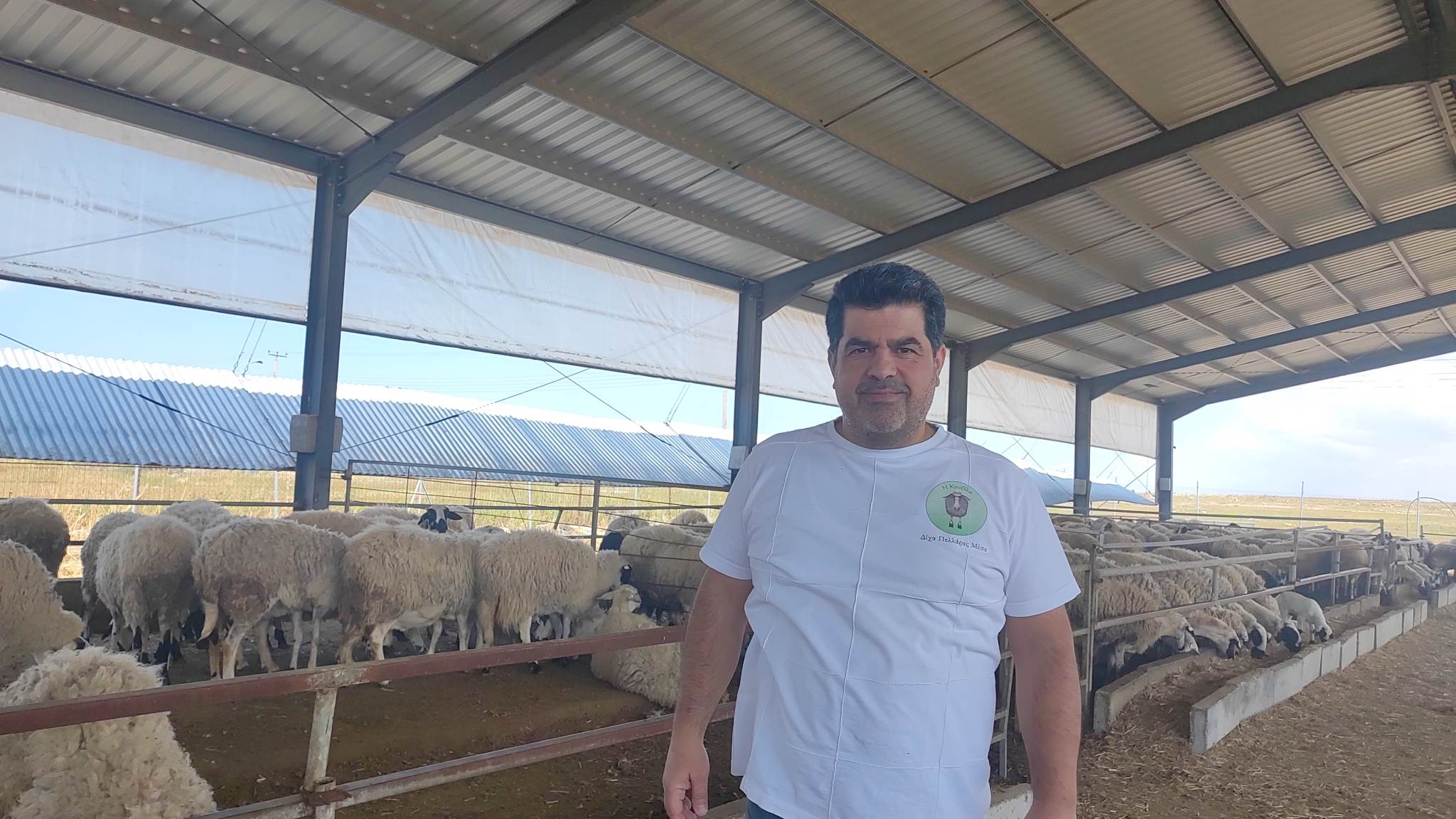 ΒΙΝΤΕΟ: Το success story του πιλότου Παντελή που παράγει χαλούμι «δίχα πελλάρες»