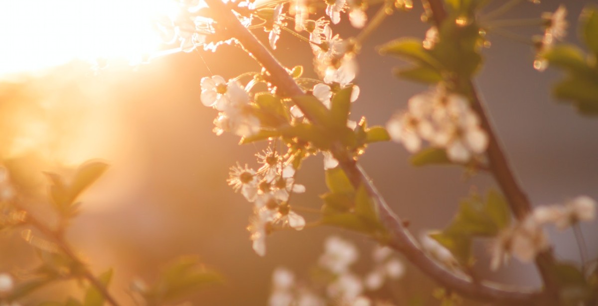 Σκόνη, βροχές αλλά και ανεβασμένες θερμοκρασίες στο καιρικό μενού