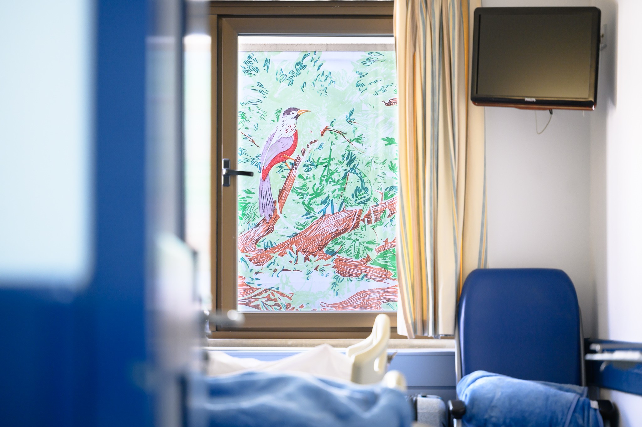 Τα 'Καθημερινά Τιτιβίσματα' στο Wall Gallery του Ογκολογικού Κέντρου Τρ. Κύπρου