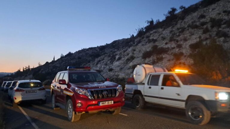 Στο κελί για τρεις μέρες οι δύο συλληφθέντες για την πυρκαγιά στην Τόχνη